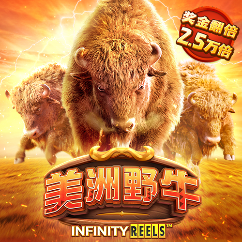 2024新澳门正版免费资木车
